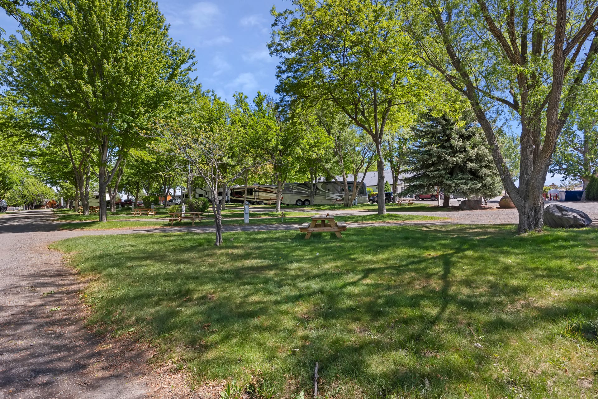 Spacious RV site with full hookups under mature trees at Hagerman RV Village